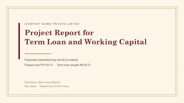 project report for bank loan PPT